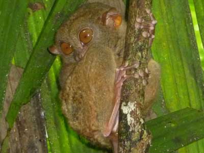 ©Yannick T. - Tous Droits réservés