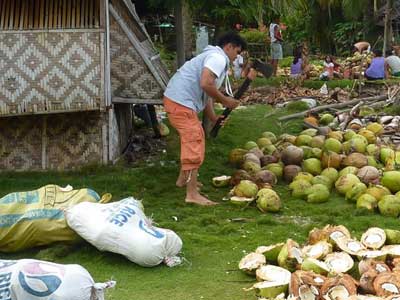 ©Yannick T. - Tous Droits réservés