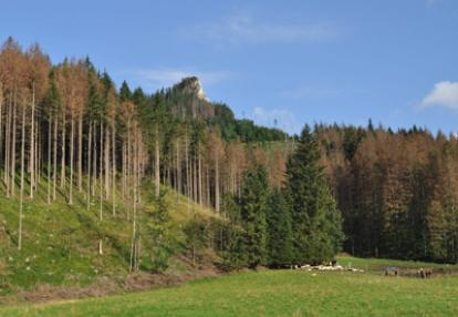 Voyage en Pologne de la famille d'Eric