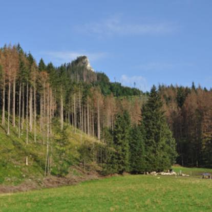 Voyage en Pologne de la famille d'Eric