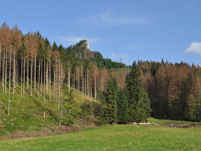 Voyage en Pologne de la famille d'Eric