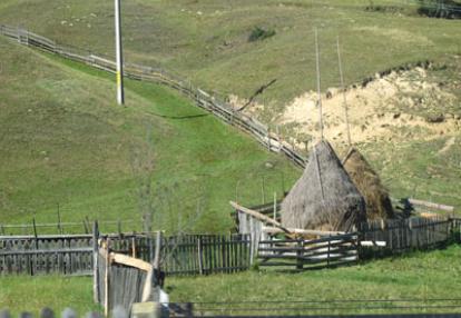 Voyage en Roumanie de Flore