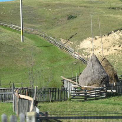 Voyage en Roumanie de Flore