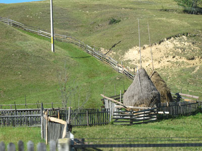 Voyage en Roumanie de Flore