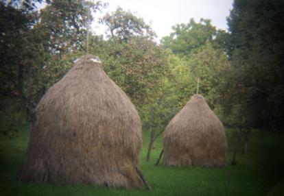 Voyage en Roumanie d'Anne-Sophie C.