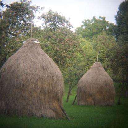 Voyage en Roumanie d'Anne-Sophie C.