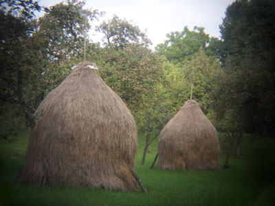 Voyage en Roumanie d'Anne-Sophie C.