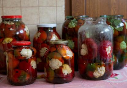 Voyage en Roumanie d'Anne-Sophie C.