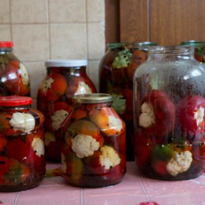 Voyage en Roumanie d'Anne-Sophie C.