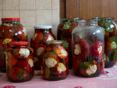 Voyage en Roumanie d'Anne-Sophie C.