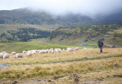 Voyage en Roumanie d'Anne-Sophie C.