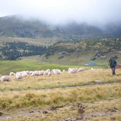 Voyage en Roumanie d'Anne-Sophie C.