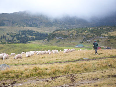 Voyage en Roumanie d'Anne-Sophie C.