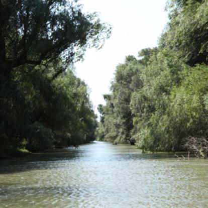 Voyage en Roumanie de guy