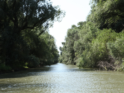 Voyage en Roumanie de guy