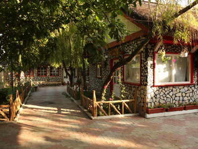 Voyage en Roumanie de guy