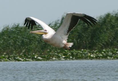 Voyage en Roumanie de guy