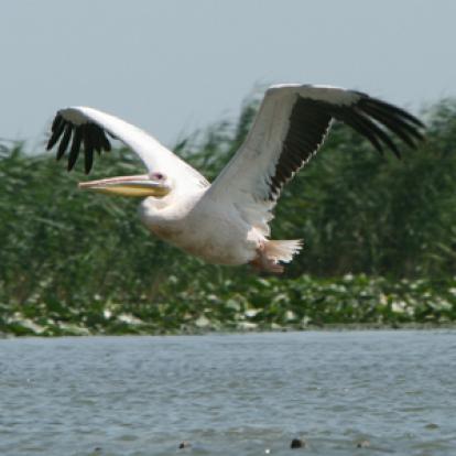 Voyage en Roumanie de guy