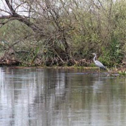 Voyage en Roumanie de Michèle et Daniel