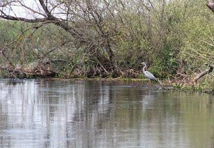 Voyage en Roumanie de Michèle et Daniel