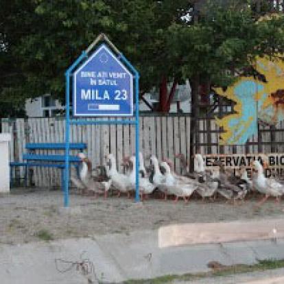 Voyage en Roumanie de Michèle et Daniel