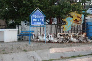 Voyage en Roumanie de Michèle et Daniel