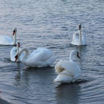 Voyage en Roumanie de Michèle et Daniel