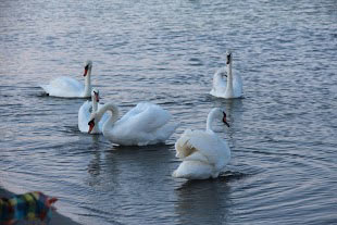 Voyage en Roumanie de Michèle et Daniel