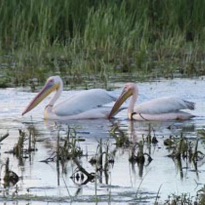 Voyage en Roumanie de Michèle et Daniel