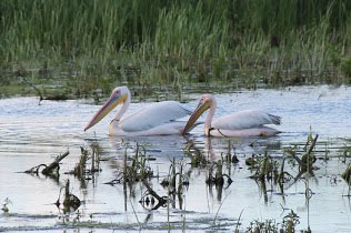 Voyage en Roumanie de Michèle et Daniel