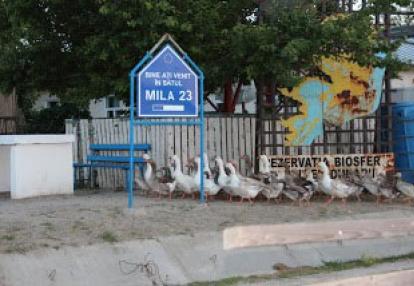 Voyage en Roumanie du Groupe d'Annie