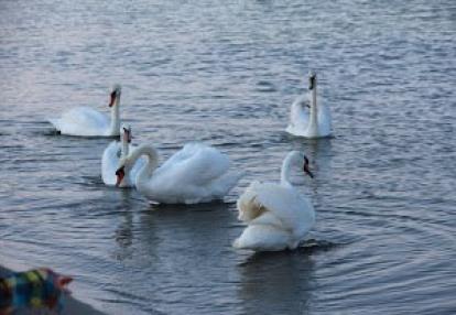 Voyage en Roumanie du Groupe d'Annie
