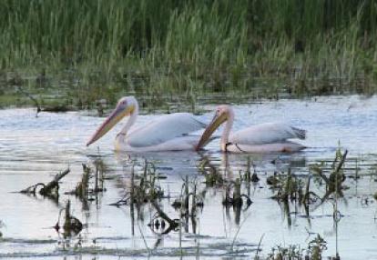 Voyage en Roumanie du Groupe d'Annie
