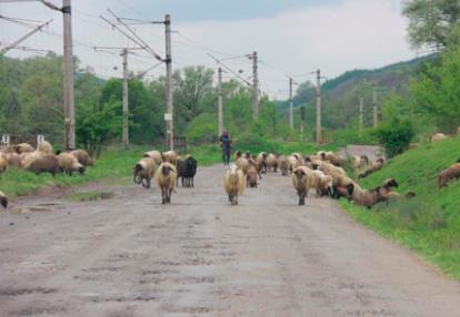 Voyage en Roumanie du Groupe d'Emilie