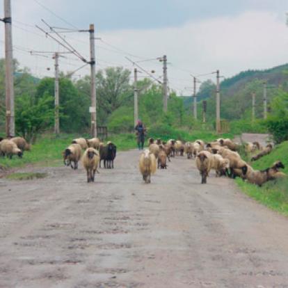 Voyage en Roumanie du Groupe d'Emilie