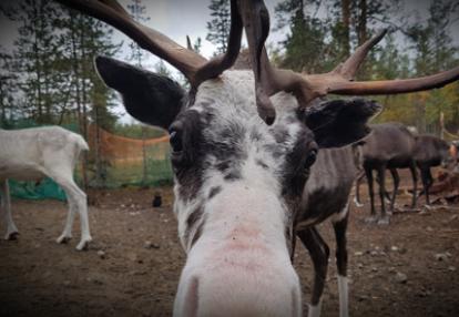 Voyage en Russie de Nathalie et Serge