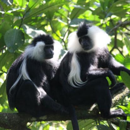 Voyage au Rwanda de Valérie