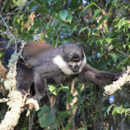 Voyage au Rwanda de Valérie
