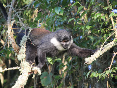 Voyage au Rwanda de Valérie