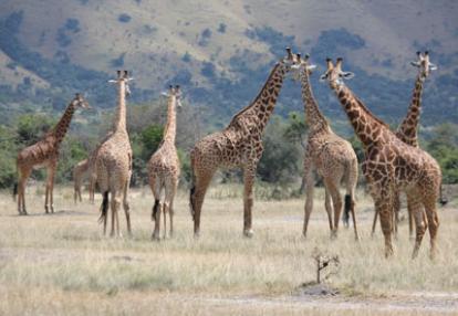 Voyage au Rwanda de Valérie