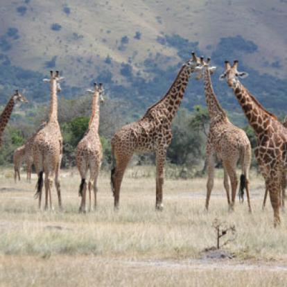 Voyage au Rwanda de Valérie