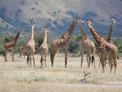 Voyage au Rwanda de Valérie