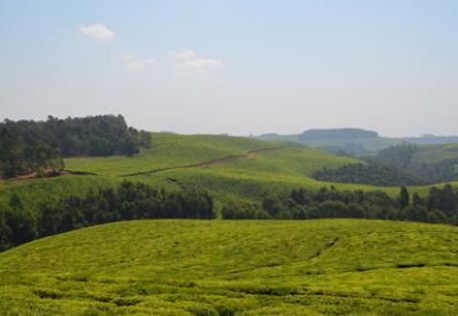 Voyage au Rwanda d'Olivier