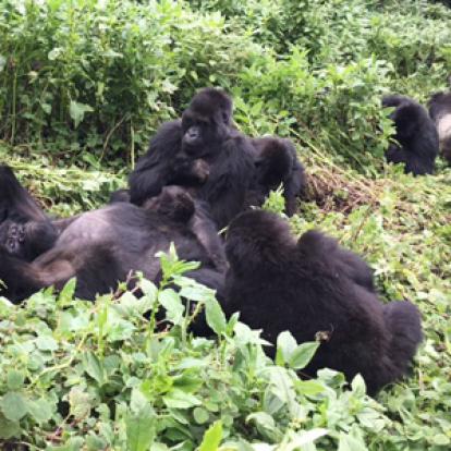 Voyage au Rwanda d'Olivier