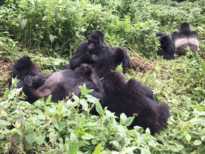 Voyage au Rwanda d'Olivier