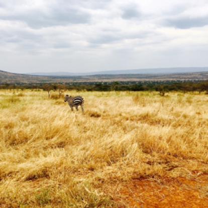 Voyage au Rwanda d'Olivier