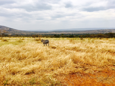 Voyage au Rwanda d'Olivier