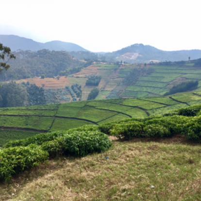 Voyage au Rwanda d'Olivier