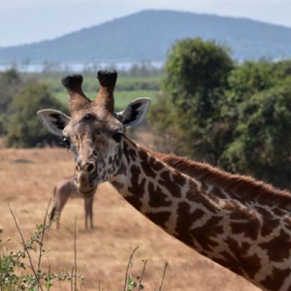 Voyage au Rwanda de la Famille de Sylvain S.