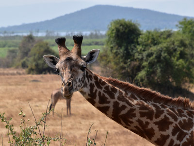 Voyage au Rwanda de la Famille de Sylvain S.